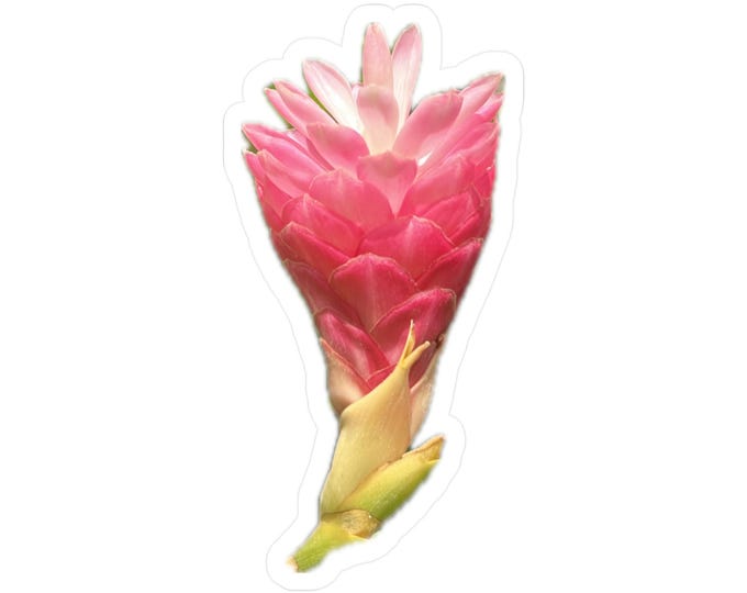 Ginger Flower Vinyl Decals