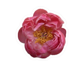 Dark Pink Peony Kiss-Cut Vinyl Decals