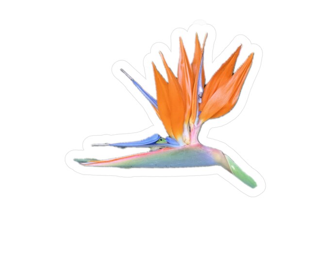 Bird of Paradise Vinyl Decals