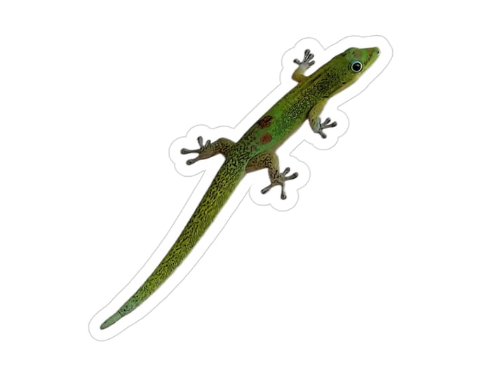 Gecko Transparent Outdoor Stickers, Die-Cut, 1pc