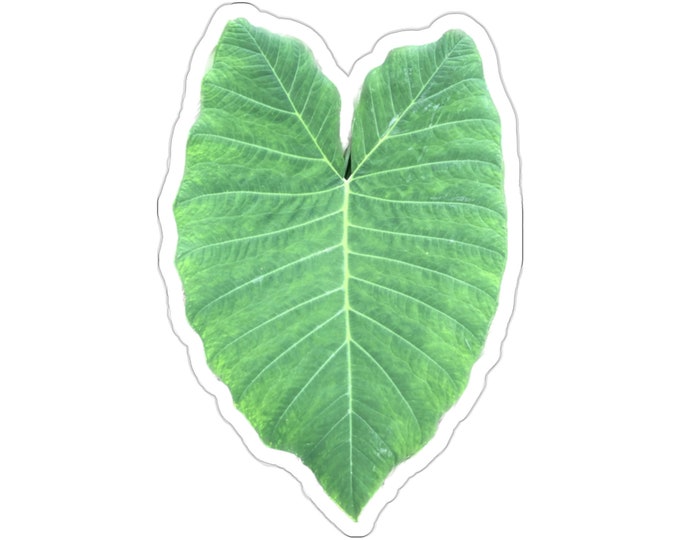 Tropical Leaf Vinyl Die-Cut Stickers