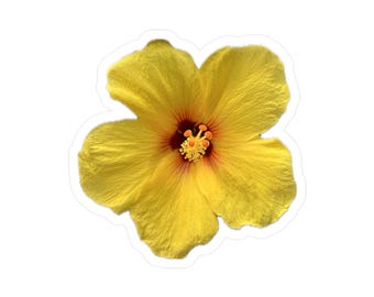 Yellow Hibiscus Vinyl Decal