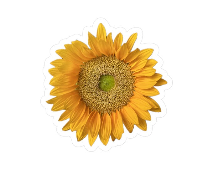 Sunflower 2 Vinyl Decals