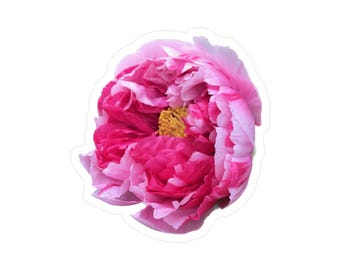 Pink Peony Kiss-Cut Vinyl Decals