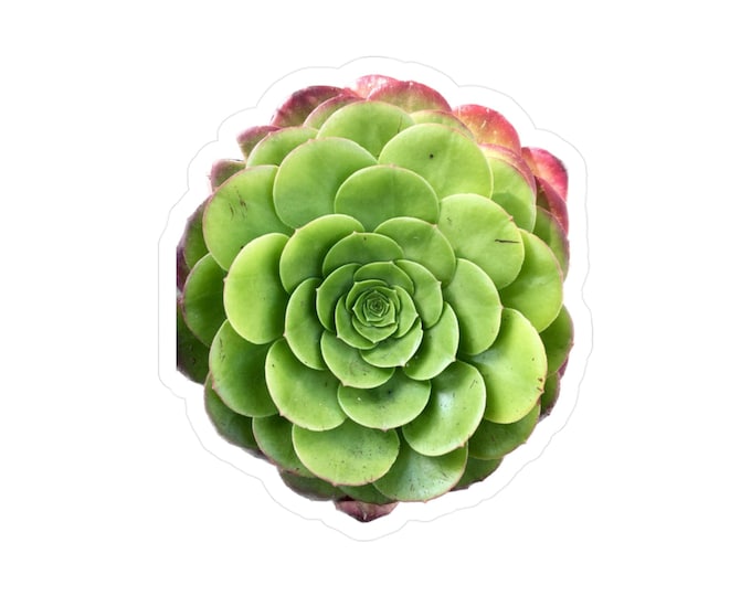 Green Succulent Kiss-Cut Vinyl Decals