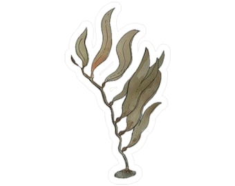 Seaweed Kiss-Cut Vinyl Decals