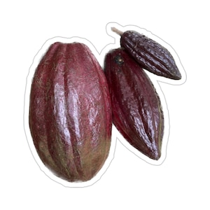 Cacao Pods Vinyl Die-Cut Stickers