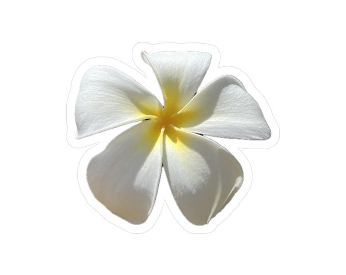 White Plumeria Kiss-Cut Vinyl Decals