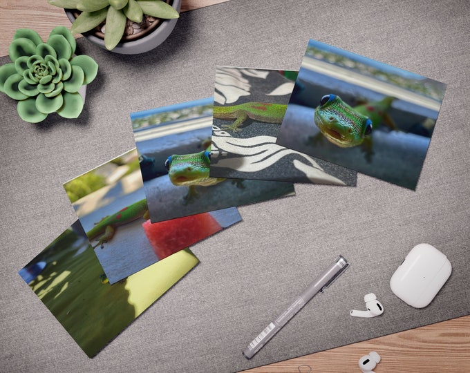 Gecko Multi-Design Greeting Cards (5-Pack)