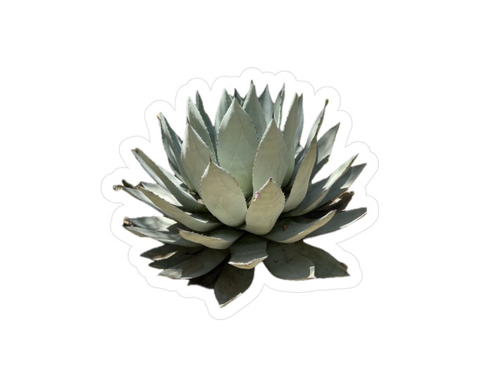 Agave Kiss-Cut Vinyl Decals