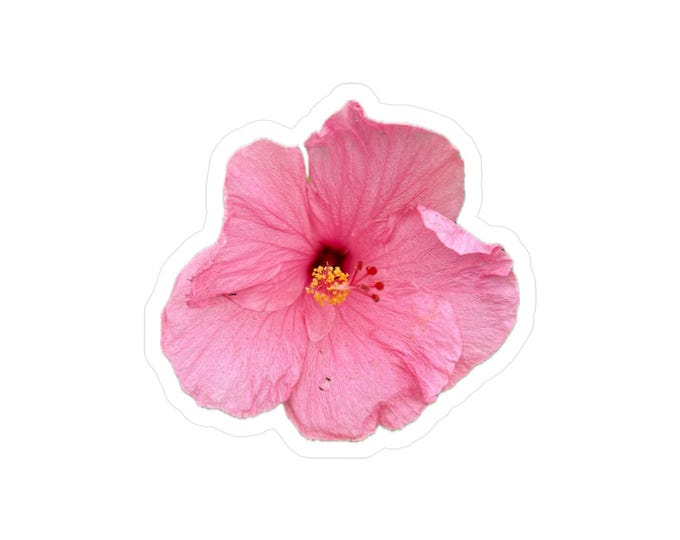 Pink Hibiscus Vinyl Decal