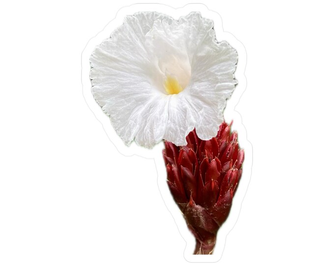 Crepe Flower Ginger Vinyl Decals
