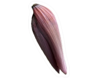 Banana Flower Vinyl Decal