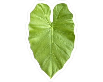 Elephant Ears Leaf Kiss-Cut Vinyl Decals