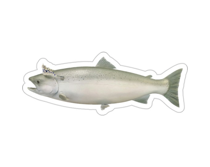 Queen Salmon Vinyl Die-Cut Stickers