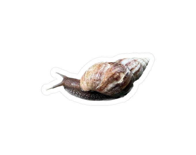 Giant Snail Kiss-Cut Vinyl Decals