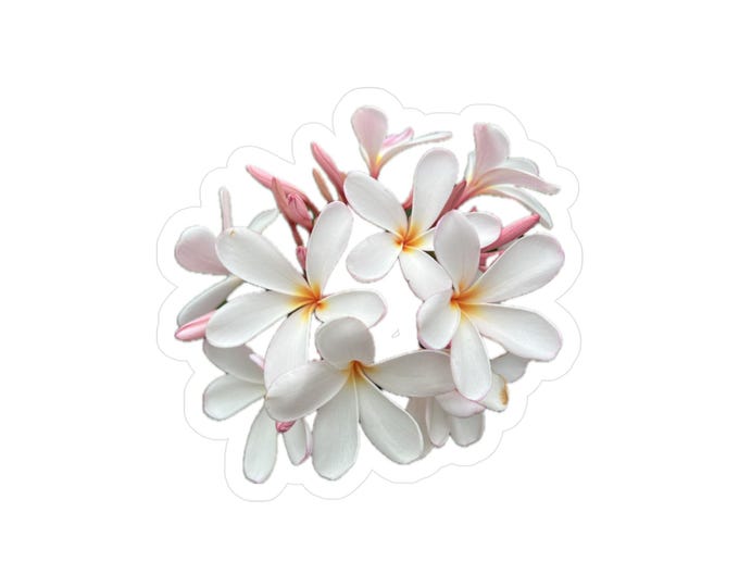 Plumeria Vinyl Decals