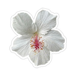 White Hibiscus Flower Vinyl Die-Cut Stickers