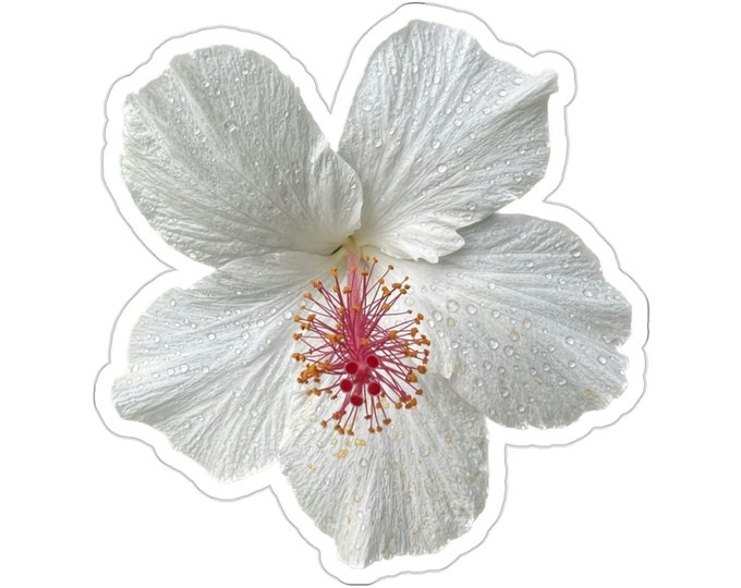 White Hibiscus Flower Vinyl Die-Cut Stickers