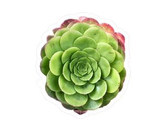 Green Succulent Kiss-Cut Vinyl Decals