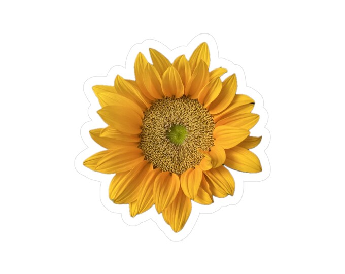 Sunflower 1 Vinyl Decals