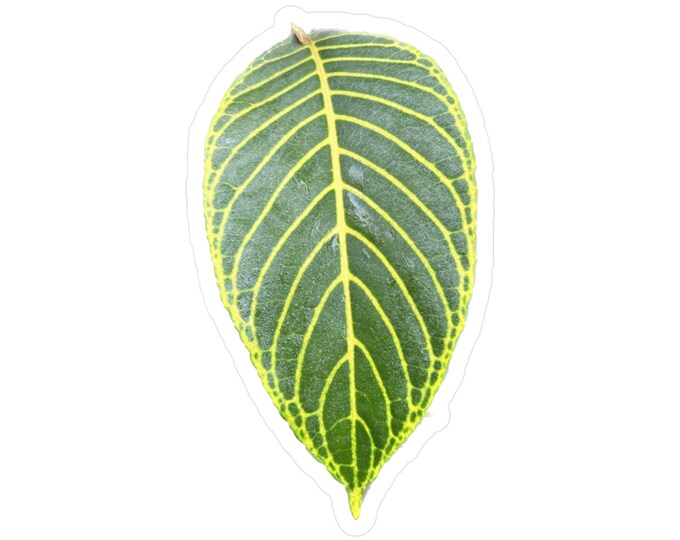 Tropical Leaf Kiss-Cut Vinyl Decals