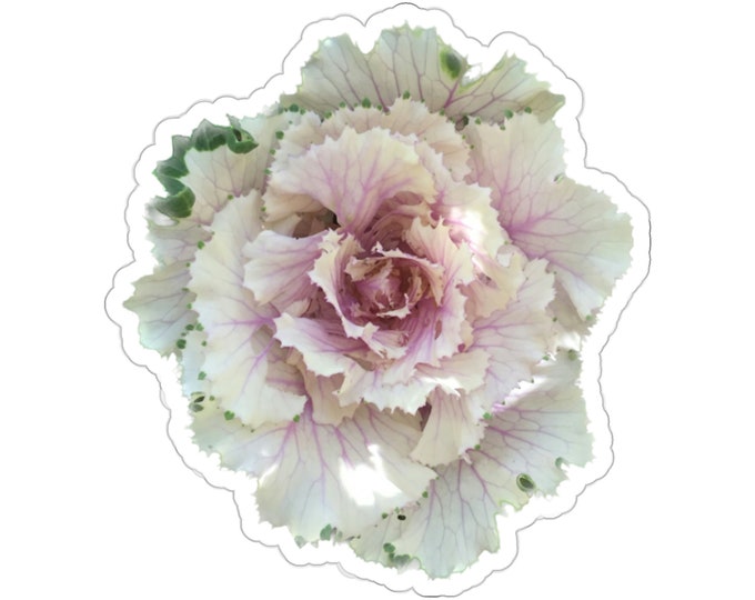 Kale Vinyl Die-Cut Stickers