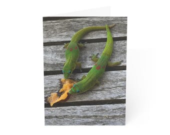 Hawaii Gecko Card: Two Green Geckos Sharing a Snack