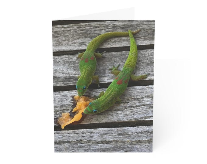 Hawaii Gecko Card: Two Green Geckos Sharing a Snack