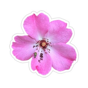 Wild Rose Flower Vinyl Die-Cut Stickers