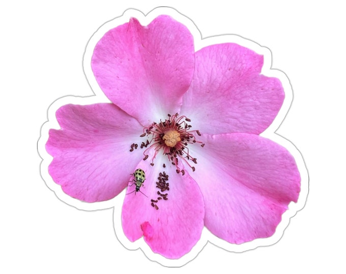 Rose Flower Vinyl Die-Cut Stickers