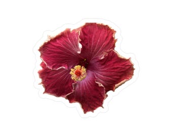 Elegant Hibiscus Kiss-Cut Vinyl Decals
