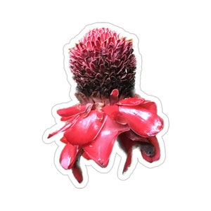 Torch Ginger Flower Vinyl Die-Cut Stickers