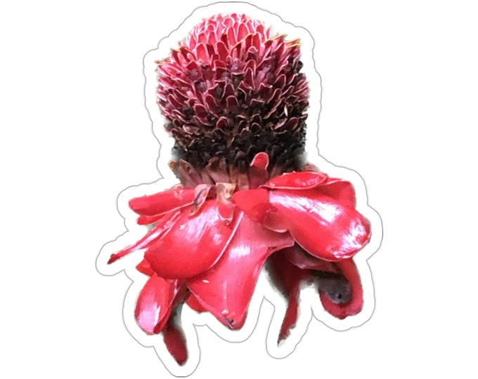 Red Torch Ginger Vinyl Die-Cut Stickers