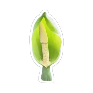 Happy Arum Vinyl Die-Cut Stickers