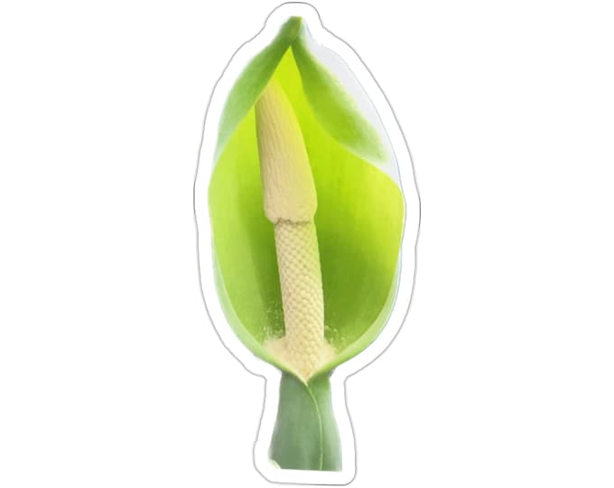 Happy Arum Vinyl Die-Cut Stickers