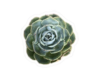 Blue Succulent Kiss-Cut Vinyl Decals