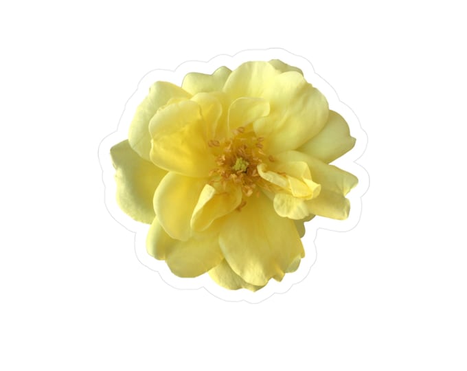 Yellow Rose Kiss-Cut Vinyl Decals