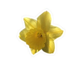 Yellow Daffodil Kiss-Cut Vinyl Decals