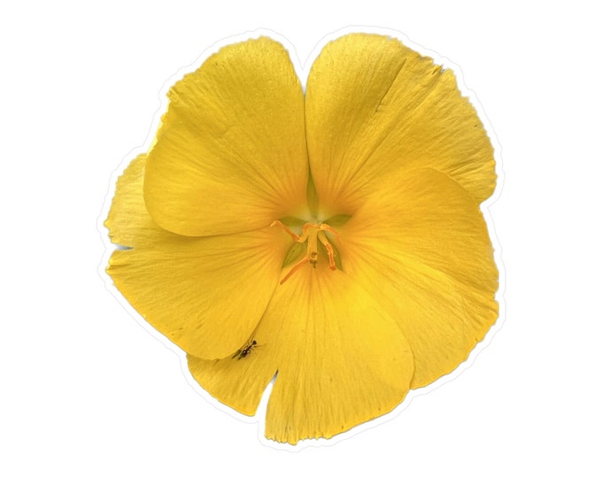 Yellow Flower Kiss-Cut Vinyl Decals