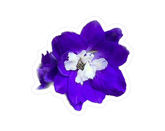 Delphinium Vinyl Decals