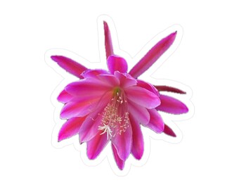 Vicky's Dragon Flower Kiss-Cut Vinyl Decals