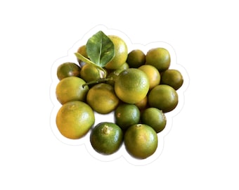 Calamansi Limes Kiss-Cut Vinyl Decals