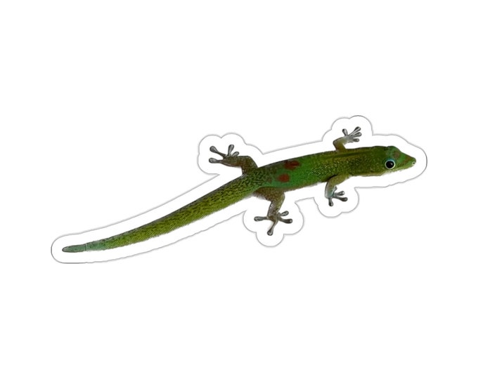 Gecko Vinyl Die-Cut Stickers