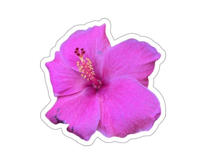 Hot Pink Hibiscus Die-Cut Stickers