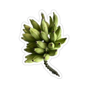 Banana Bunch Vinyl Die-Cut Stickers