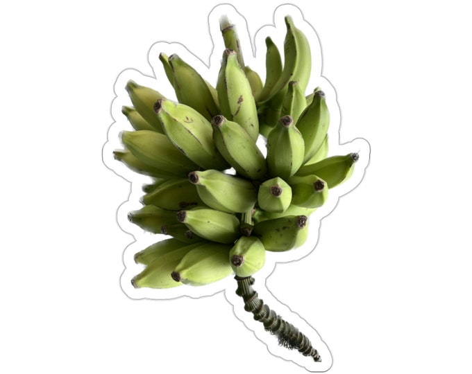 Banana Bunch Vinyl Die-Cut Stickers