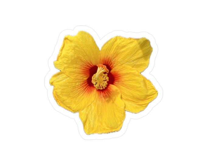 Hibiscus Vinyl Decals