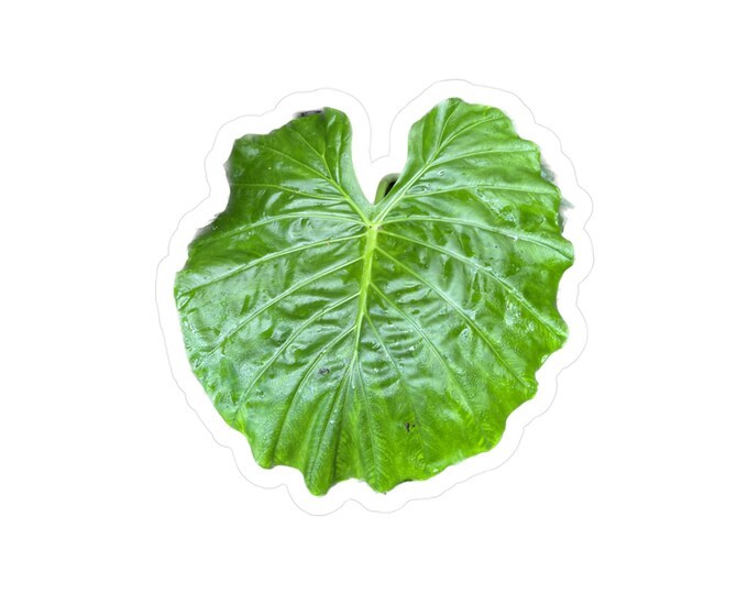 Tropical Leaf Kiss-Cut Vinyl Decals