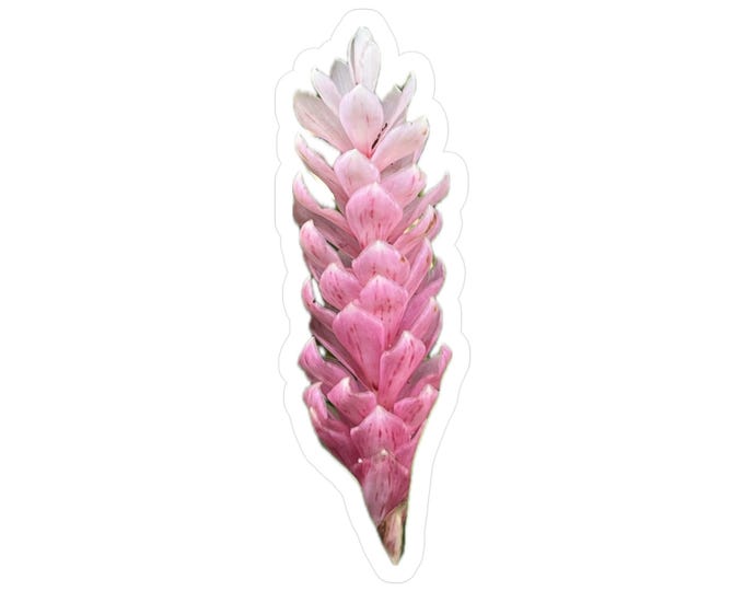 Pink Ginger Kiss-Cut Vinyl Decals